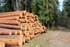 Wild Dog Valley VICtree-felling-services-31.jpg; ?>